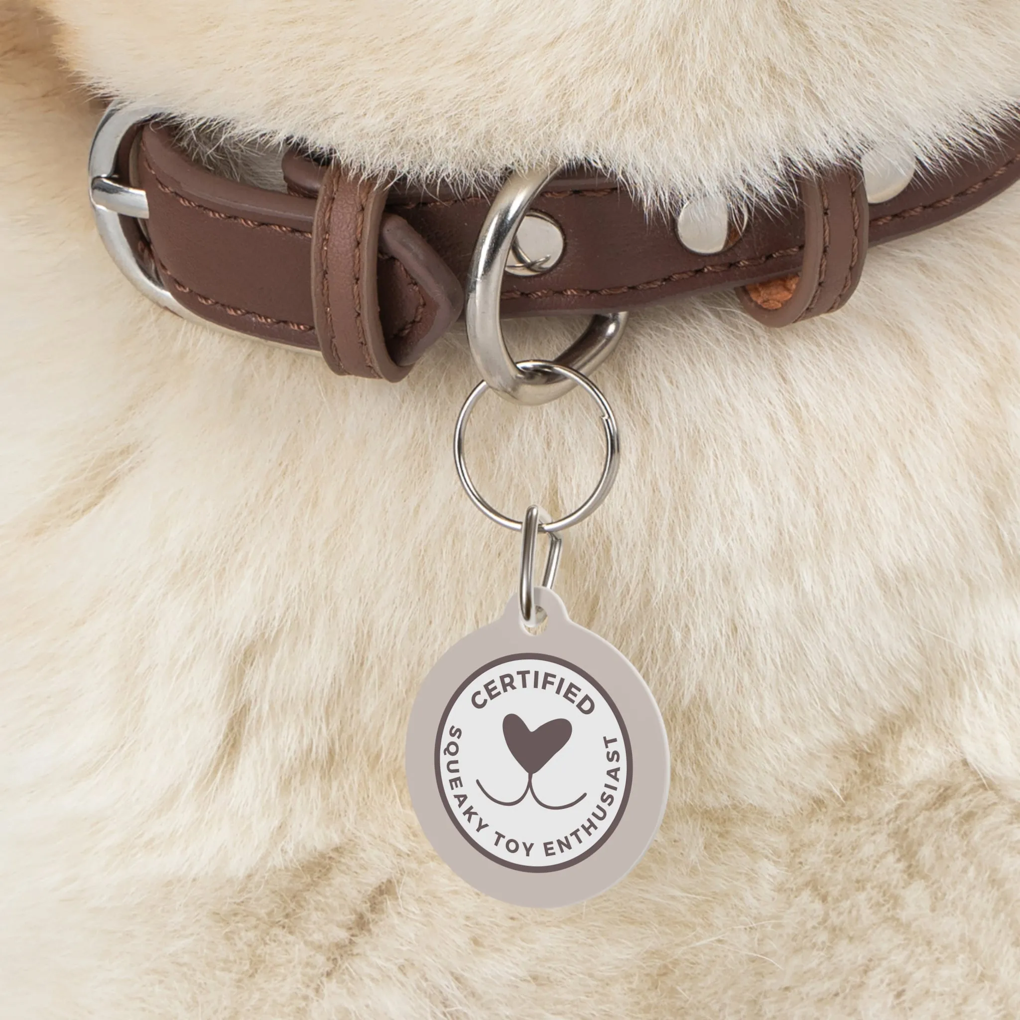 Certified Squeaky Toy Enthusiast  - Pet Tag